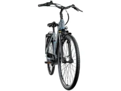 X600 E-City Bosch Mittelmotor