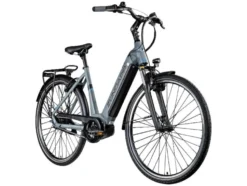 X600 E-City Bosch Mittelmotor