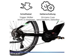 X900 E- MTB