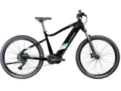 X900 E- MTB