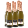 6 x 0,75-l-Flasche Weinpaket Allini Asti DOCG mild, Schaumwein