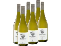 6 x 0,75-l-Flasche Weinpaket Brisandes Chardonnay Colchagua Valley trocken, Weißwein