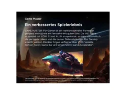 43 Zoll UHD 43P61K TV