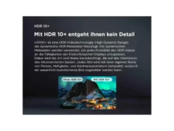 43 Zoll UHD 43P61K TV