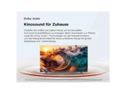 43 Zoll UHD 43P61K TV
