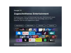 43 Zoll UHD 43P61K TV