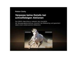 43 Zoll UHD 43P61K TV