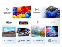43 Zoll UHD 43P61K TV