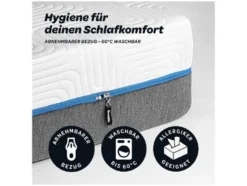 7-Zonen-Matratze BALANCE »KS 1.000«